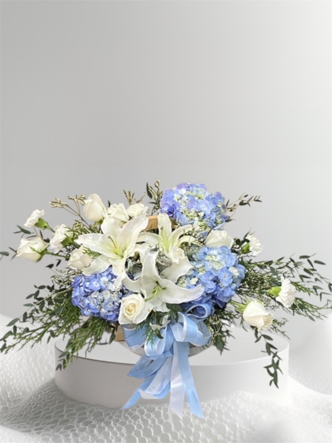 cmbsk-003 cmbsk-003